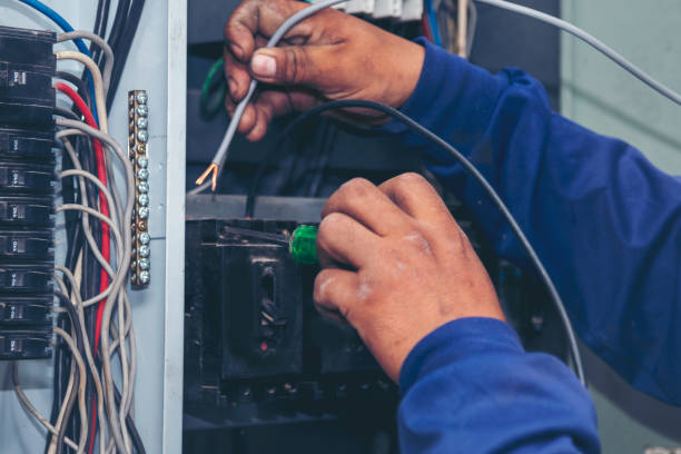 Best Ceiling Fan Installation Electrician  in Versailles, OH